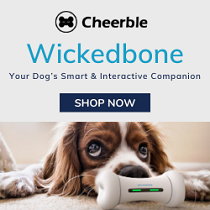 Cheerble Wicked Bone