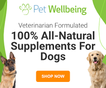 Pet Wellbeing Inc