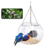 TOMTOP Technology Co., Ltd: 42% OFF Clear Window Bird Feeder with Wifi Camera Suction Cup,15.80?