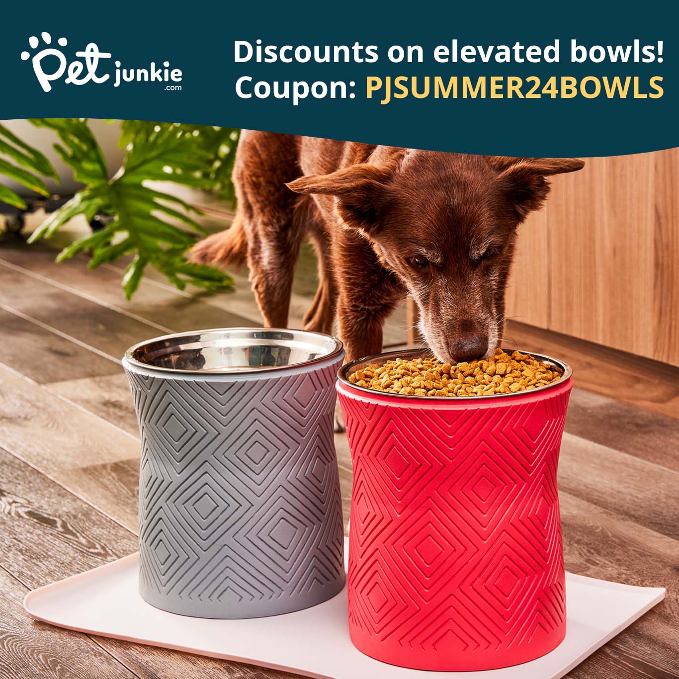 Pet Junkie: Summer Dog Bowl Discounts