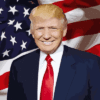 Support Donald J Trump In His Fight For Us Against The Deep State