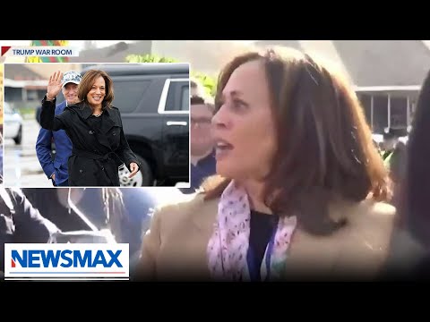 Kamala Harris is doing a ‘check-the-box’ exercise by going to border | American Agenda