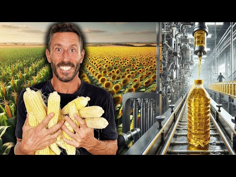 The Truth About Seed Oils & Obesity