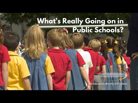 What’s Really Going on in Public Schools?