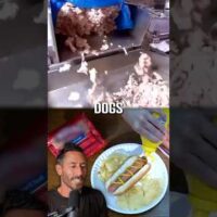 What goes into your hotdog?