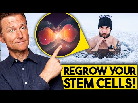 Regenerate Your Stem Cells