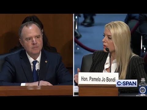 Pam Bondi GRILLS DEMOCRATIC SENATORS During Confirmation Hearing